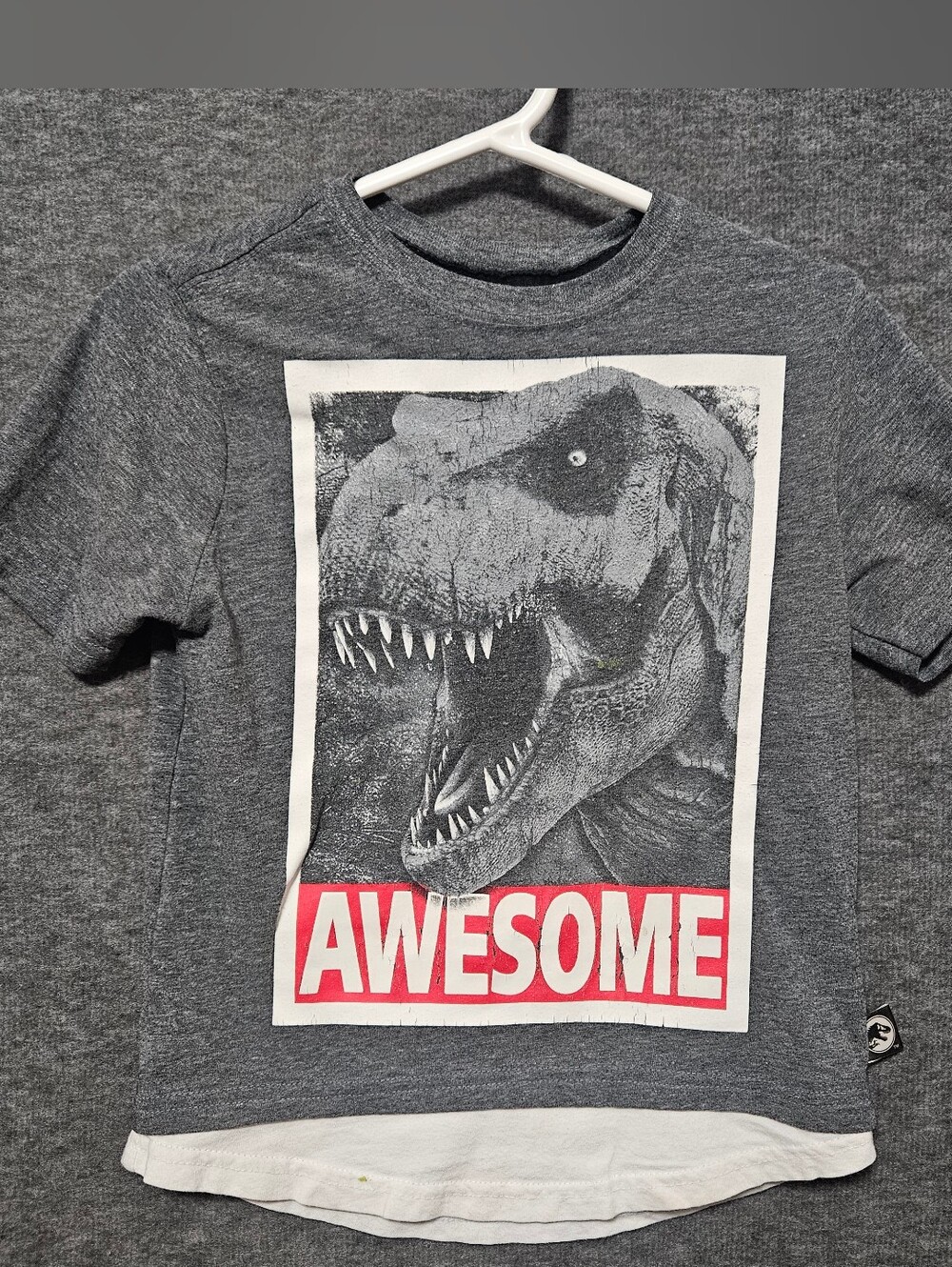 SALE 4/$20 Kids Grey 'Awesome' Jurrasic Park Dinosaur Graphic Tee Boy's Size 4